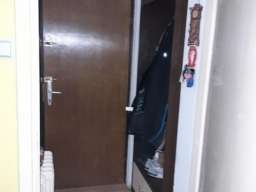19M2-22.600E, PR, 0.5-Novi Sad