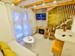 Apartments Blue House Zlatibor izdavanje