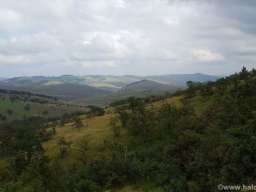 Zlatibor-Gajevi, plac