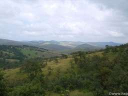 Zlatibor-Gajevi, plac