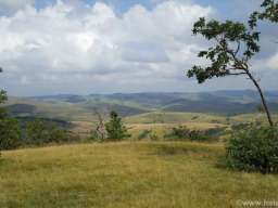 Zlatibor-Gajevi, plac