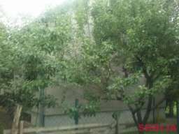 Zvecka, Obrenovac-kuca sa okucnicom