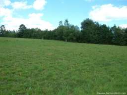 Prodajem prelep plac na Zlatiboru, selo Rozanstvo