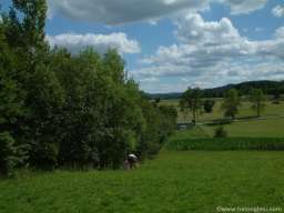 Prodajem prelep plac na Zlatiboru, selo Rozanstvo