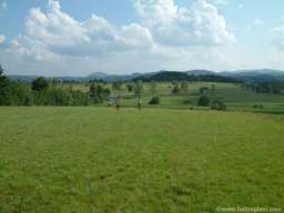 Prodajem prelep plac na Zlatiboru, selo Rozanstvo