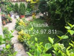 Vlasnik prodaje kucu od 400m2 i 4 ara placa-Vracar