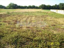 Na prodaju kuca sa pomocnom i poslovnom zgradom