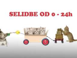 Selidbe Beograd agencija za selidbe u Beogradu