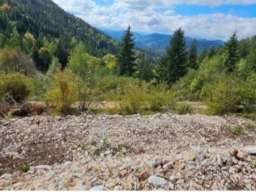 Plac 5,5 ari Tara Sekulić 