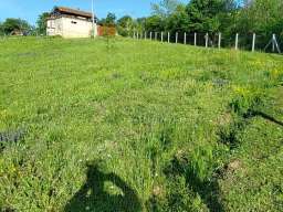 Placevi povoljno Jabucje-Kragujevac