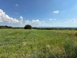Plac 2,16 ha Drlupa Sopot