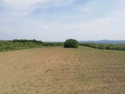 Plac 2,16 ha Drlupa Sopot