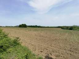 Plac 2,16 ha Drlupa Sopot