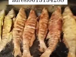 Prodaja ribe