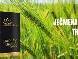 Barley Grass Premium &ndash; Ječmena trava