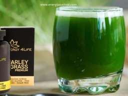 Barley Grass Premium &ndash; Ječmena trava