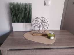 Studio Apartman Magnolia Beograd Centar