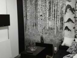 Studio Apartman Zebra Beograd Vra  ar