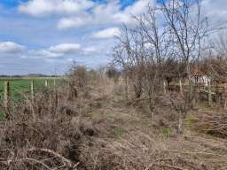 Plac sa izlazom na dve ulice-Kikinda