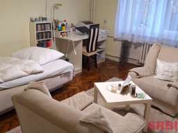 Ekskluzivno-salonski stan u Futoskoj