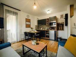 Zlatibor-opremljen apartman bez provizije
