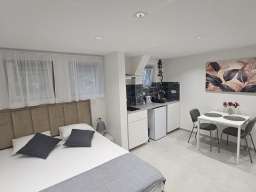 Studio Apartman Garden Studio Beograd Vracar