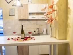 Studio Apartman Steco central 1 Beograd Savski Venac