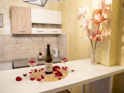 Studio Apartman Steco central 1 Beograd Savski Venac