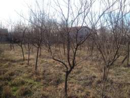 Prodajem plac u Požarevcu