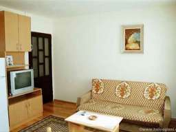 Zlatibor, apartmani, centar, povoljno