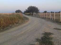 Poljoprivredno zemljiste sa zasadom voca-Irig