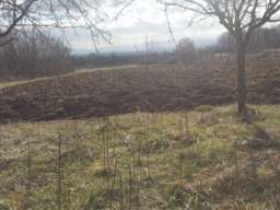 Prodajem seosko domacinstvo, Donja Trepca-Cacak