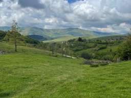 Prodajem plac na Zlatiboru 4ari