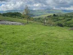 Prodajem plac na Zlatiboru 4ari