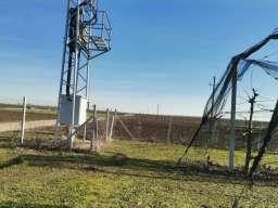 Voćnjak tre&scaron;nje u punom rodu, 1.5 Ha, Srbobran