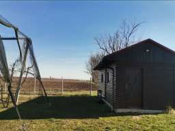 Voćnjak tre&scaron;nje u punom rodu, 1.5 Ha, Srbobran