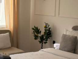 Studio Apartman Angela Zemun Beograd Zemun