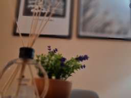 Dvosoban Apartman Amar Beograd Zemun