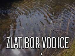 Plac 10114 m2 blizu Jokine ćuprije Vodice Zlatibor 