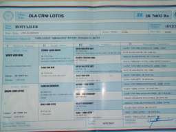 Rotvajler, mlada ženka