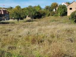 Plac Beograd-Lestane