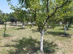 Plac 9,5 ari Ribnica Kraljevo