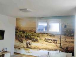 Studio Apartman Safari 2 Novi Sad Petrovaradin