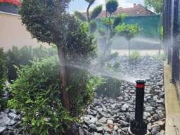 Tepih trava i zalivni sistemi