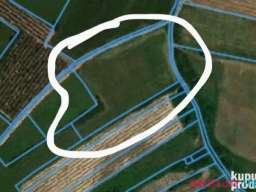 Plac 75 ari Nemenikuće Kosmaj